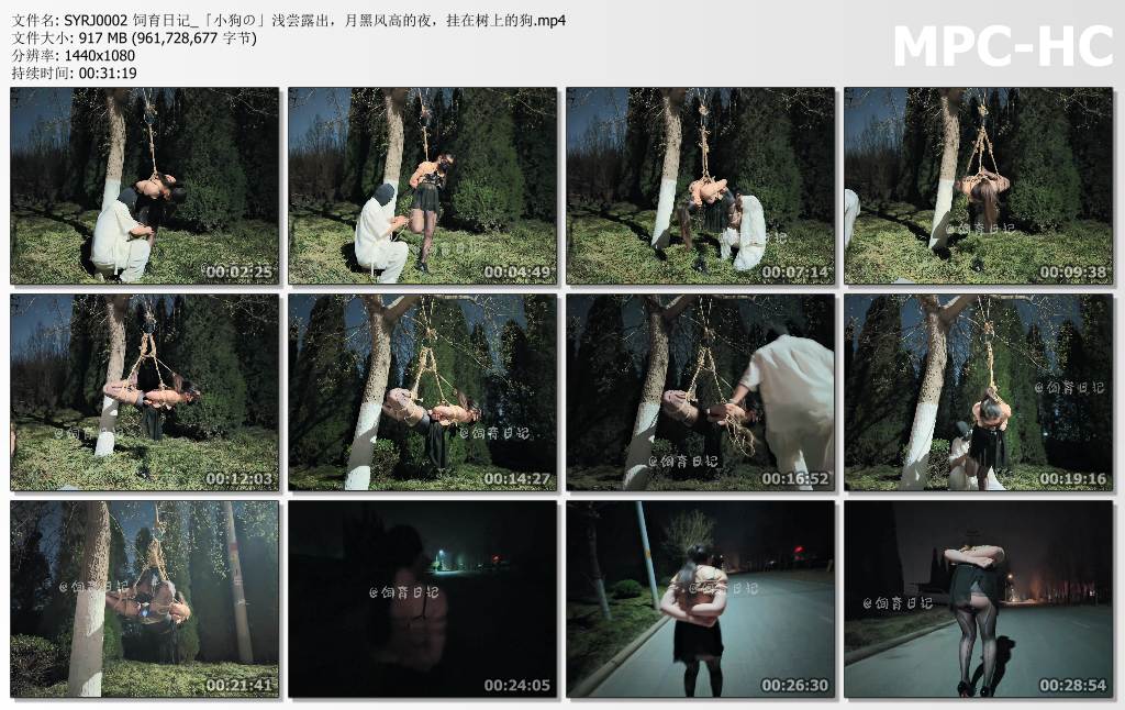 小狗の饲育日记_浅尝露出 月黑风高的夜 挂在树上的狗.jpg