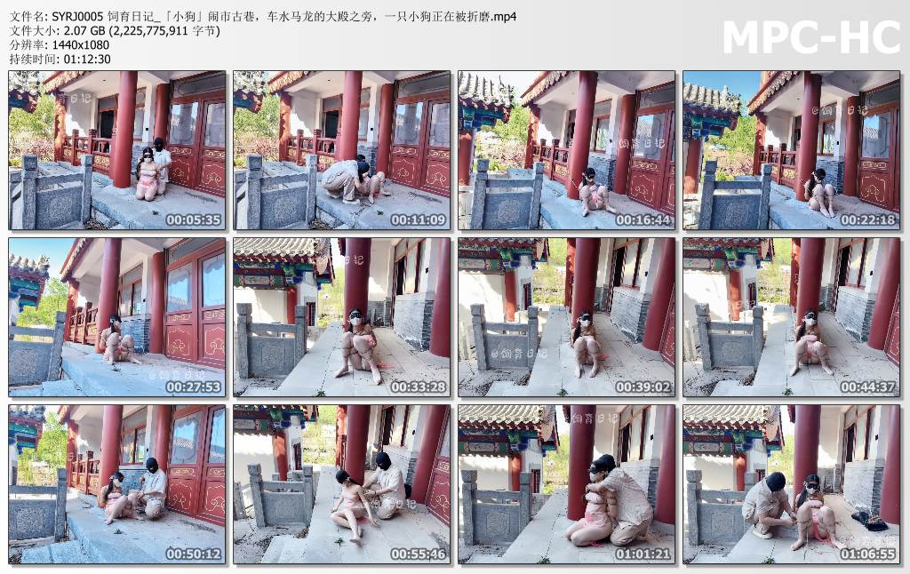 小狗の饲育日记_闹市古巷 车水马龙的大殿之旁 一只小狗正在被折磨.jpg