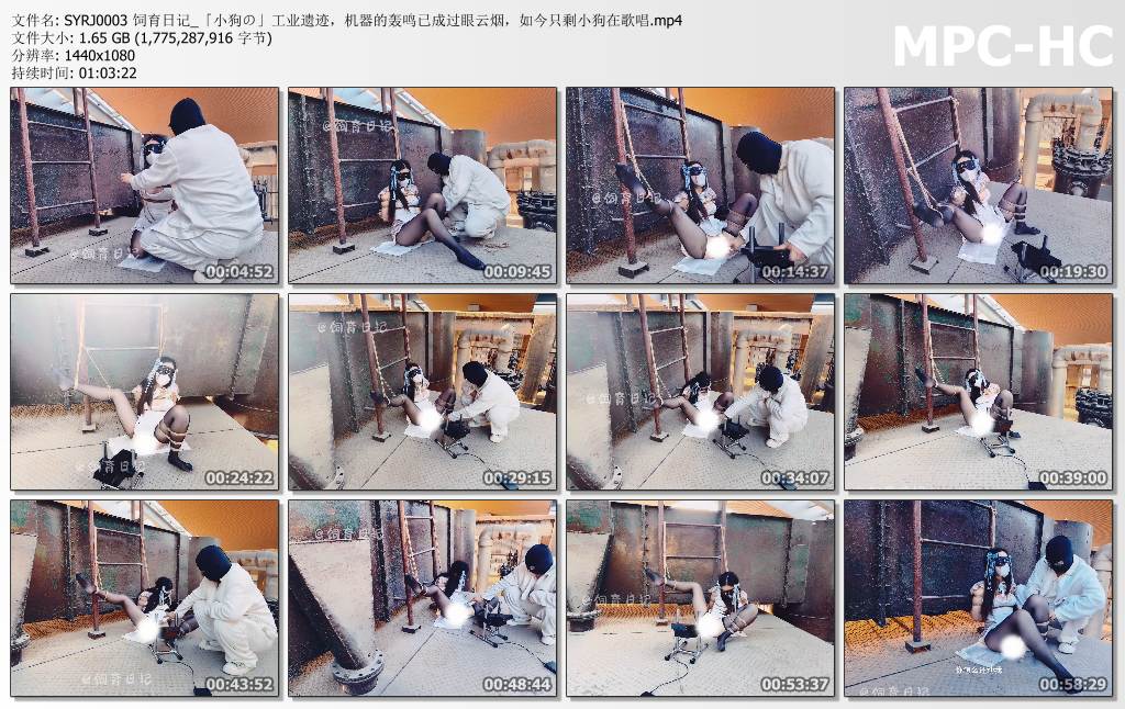 小狗の饲育日记_工业遗迹 机器的轰鸣已成过眼云烟 如今只剩小狗在歌唱.jpg