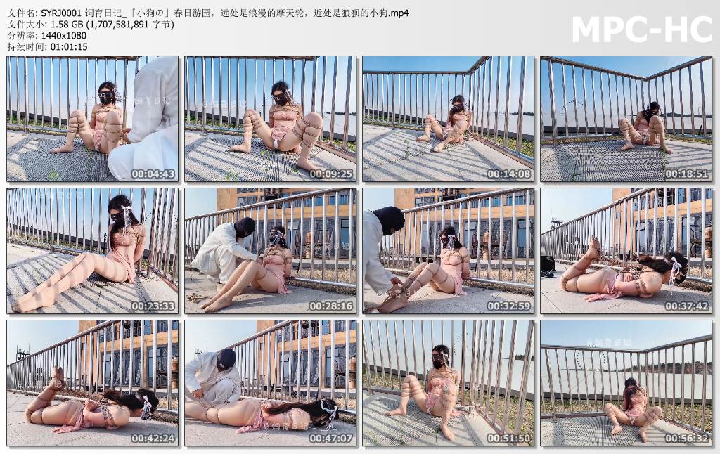 小狗の饲育日记_春日游园 远处是浪漫的摩天轮 近处是狼狈的小狗.jpg