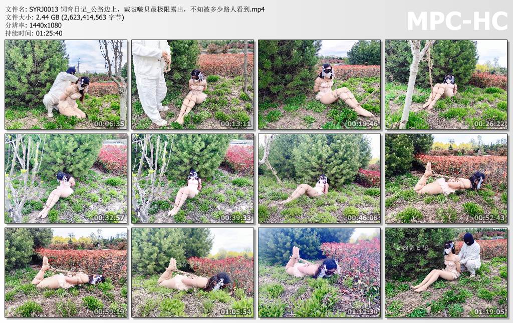 小狗の饲育日记_公路边上 戴啵啵贝最极限露出 不知被多少路人看到.jpg