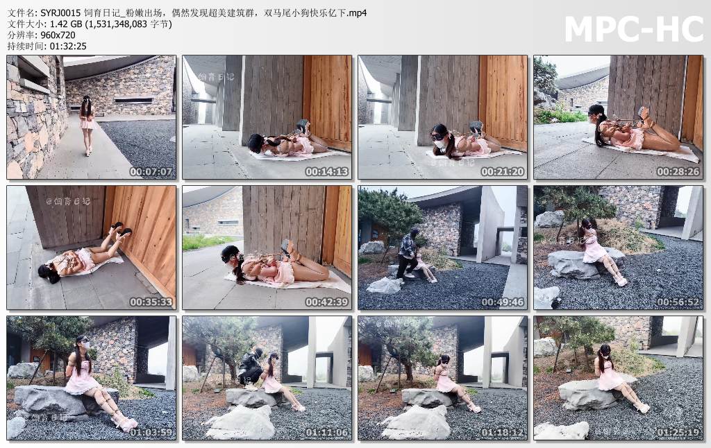 小狗の饲育日记_粉嫩出场 偶然发现超美建筑群 双马尾小狗快乐亿下.jpg