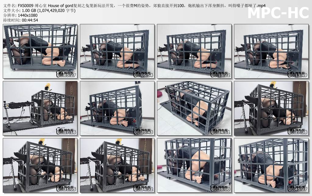 缚心室_House of gord复刻之兔笼新玩法开发 郊狼直接开到100 在PAO机猛烈输出下浑身颤.jpg