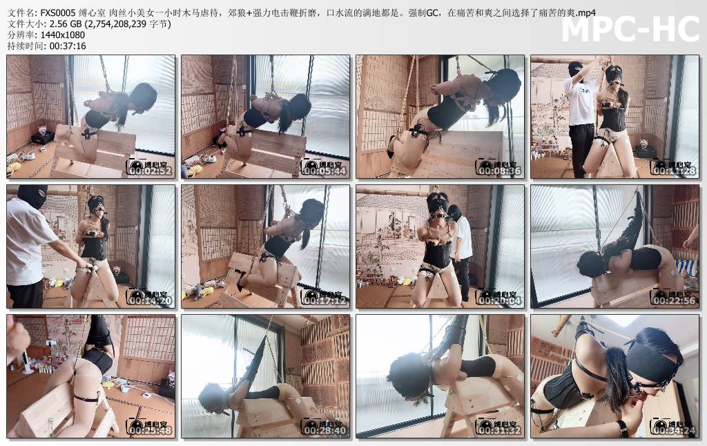 缚心室_肉丝小美女60分钟木马虐待 郊狼 强力电击鞭折磨 口水流的满地都是.jpg