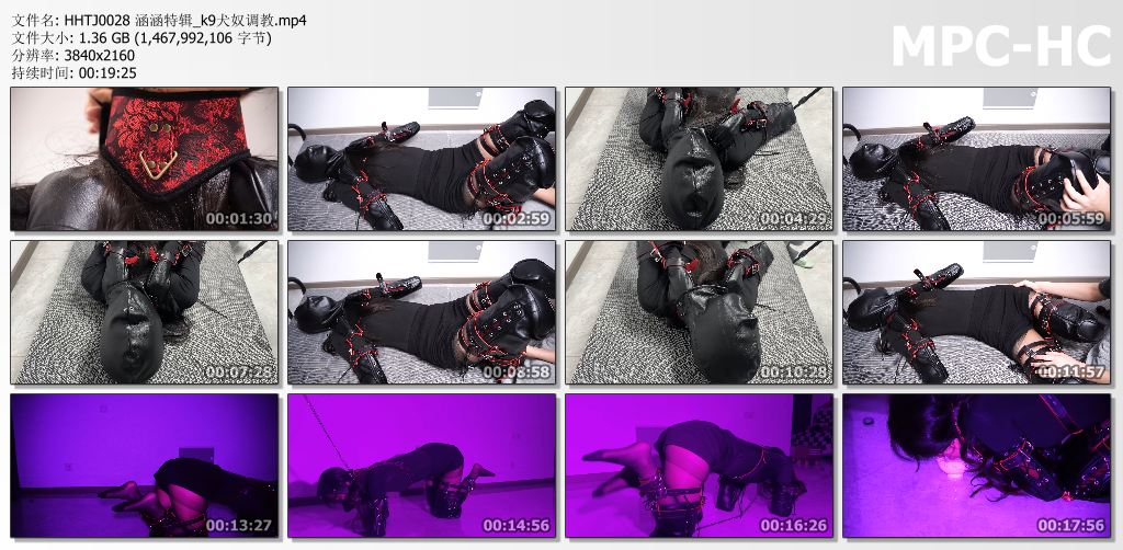 涵涵特辑_k9犬奴调教.jpg