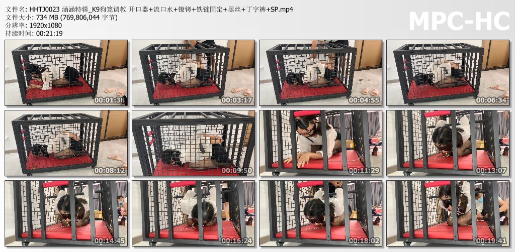 涵涵特辑_K9狗笼调教.jpg