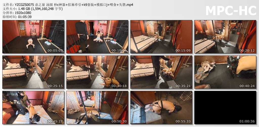意之窗工作室_汤圆 k9套装秒c神器肛塞牵引 模拟口j 喂食 失禁.jpg
