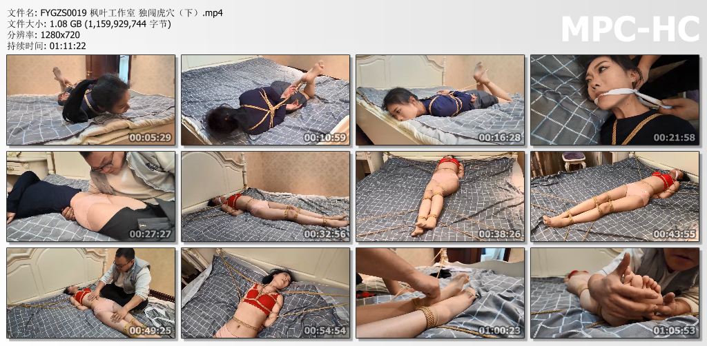 枫叶工作室_独闯虎穴 下集.jpg