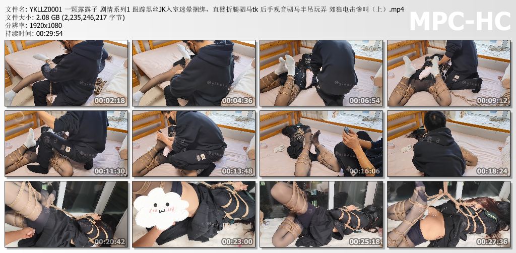 一颗露露子_剧情系列 第一部.jpg