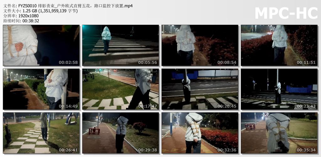 绯影责束_户外欧式直臂五花路口监控下放置.jpg