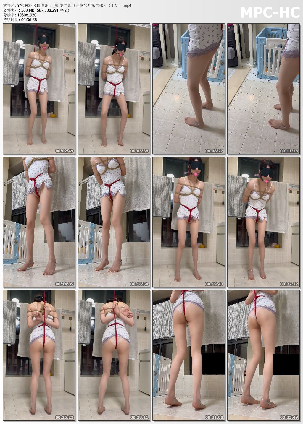 眼眸出品_开发欲梦第二部 上集.jpg