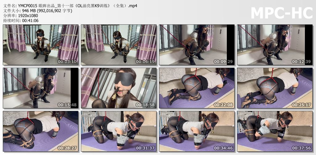 眼眸出品_ OL油亮黑K9训练.jpg