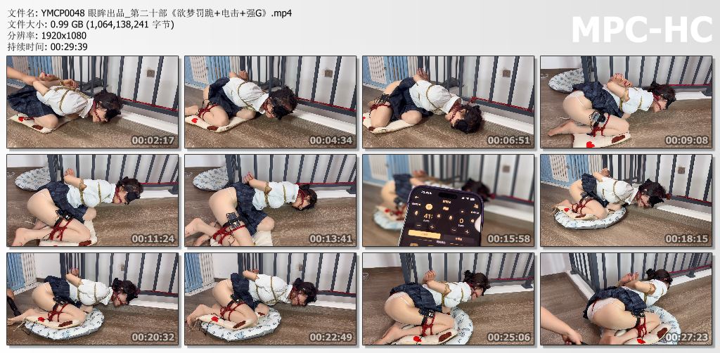 眼眸出品_欲梦罚跪电击强G.jpg