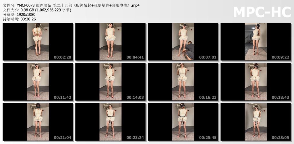 眼眸出品_股绳吊起 强制垫脚 郊狼电击.jpg