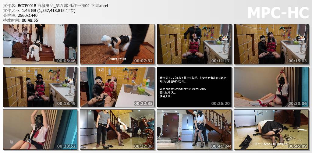 白城出品_孤注一掷2 下集.jpg