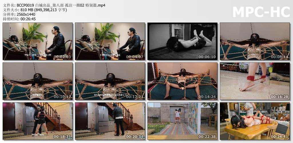白城出品_孤注一掷2 特别篇.jpg
