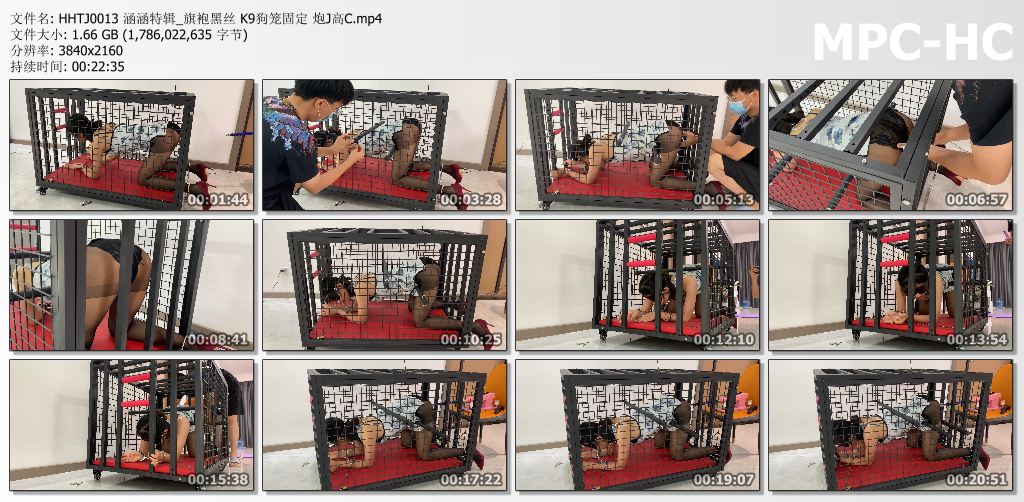 涵涵特辑_旗袍黑丝K9狗笼固定PAO机高C.jpg