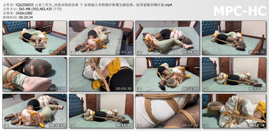 云雀工作室_侦探双姝的劫难 下集.jpg