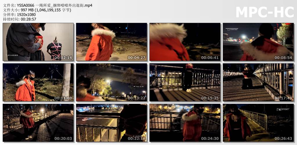 一绳所爱_捆绑喵喵外出逛街.jpg