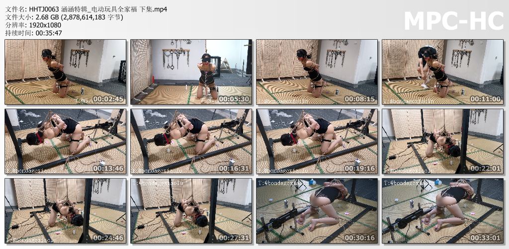 涵涵特辑_电动玩具全家福 下集.jpg