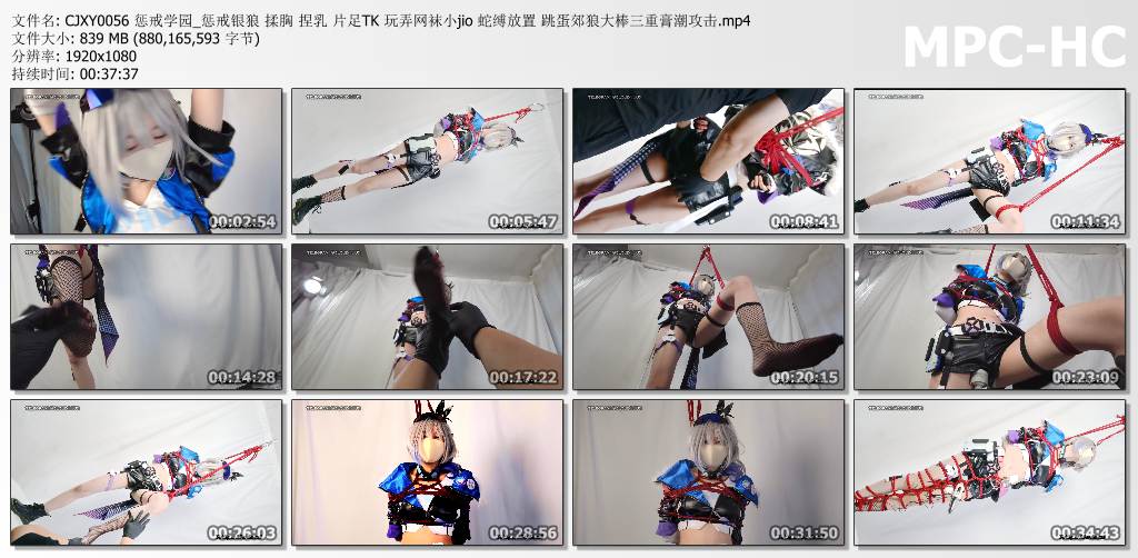 惩戒学园_惩戒银狼.jpg
