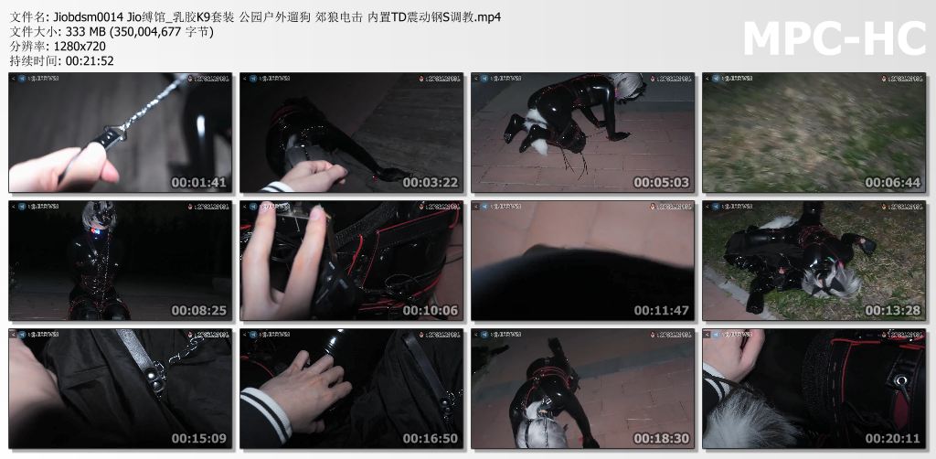 JIO缚馆_乳胶K9套装 公园户外遛狗.jpg