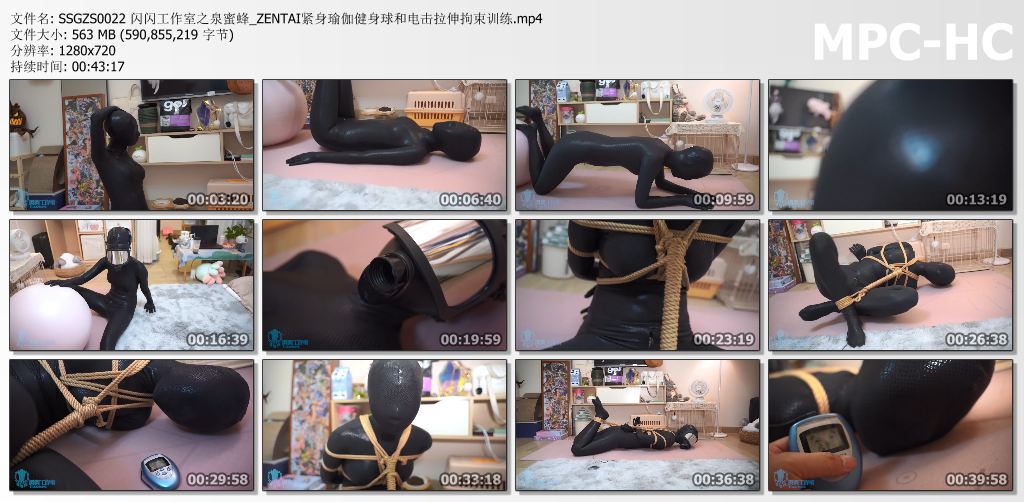 闪闪工作室_泉蜜蜂系列 ZENTAI紧身瑜伽健身球和电击拉伸拘束训练.jpg