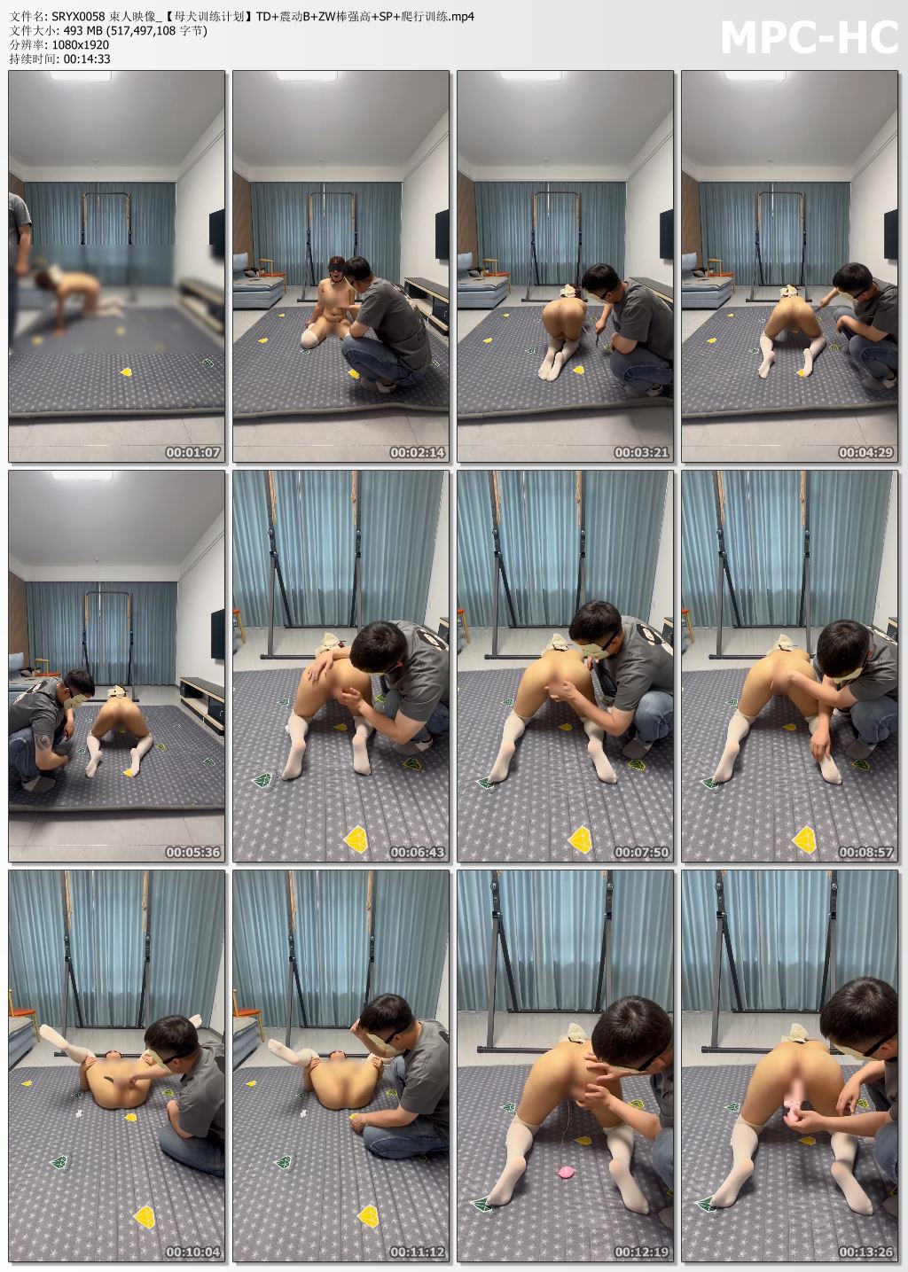 束人映像_母犬训练计划.jpg