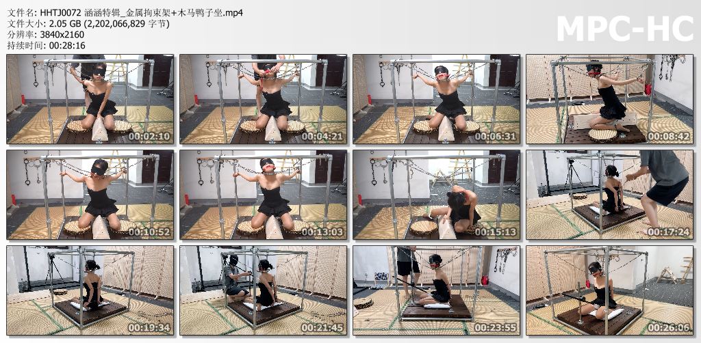 涵涵特辑_金属拘束架 木马鸭子坐.jpg