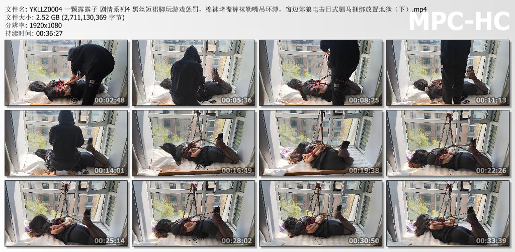 一颗露露子_剧情系列 第4部.jpg