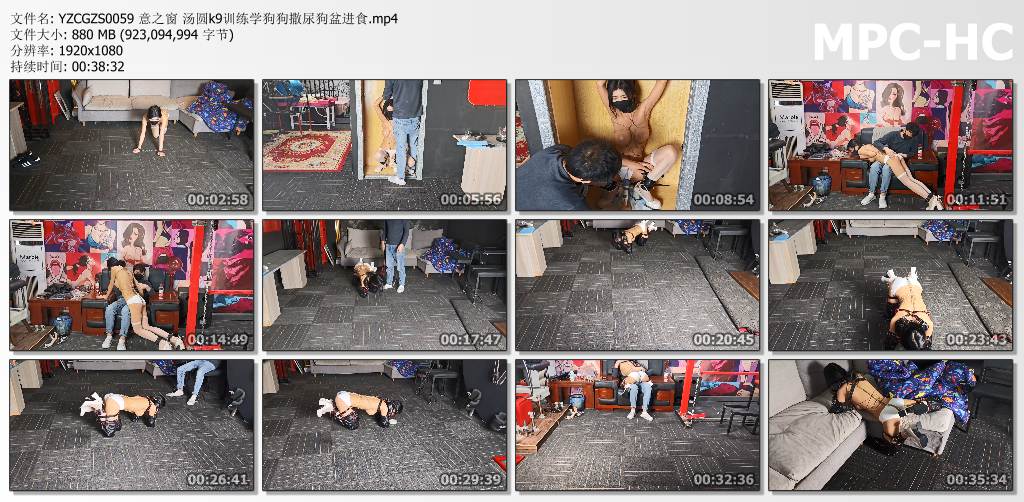 意之窗工作室_汤圆k9训练学狗狗撒尿狗盆进食.jpg