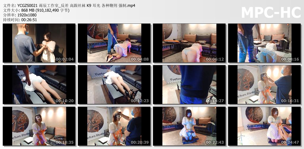 雨辰工作室_反差 高跟丝袜 K9耳光 各种鞭刑.jpg