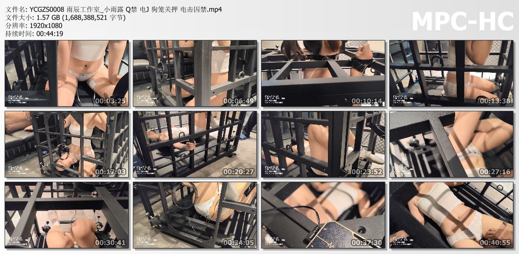 雨辰工作室_小雨露狗笼关押电击囚禁.jpg