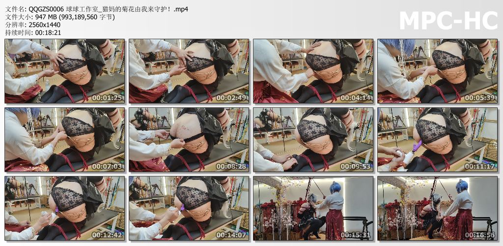 球球工作室_猫妈的菊花由我来守护.jpg