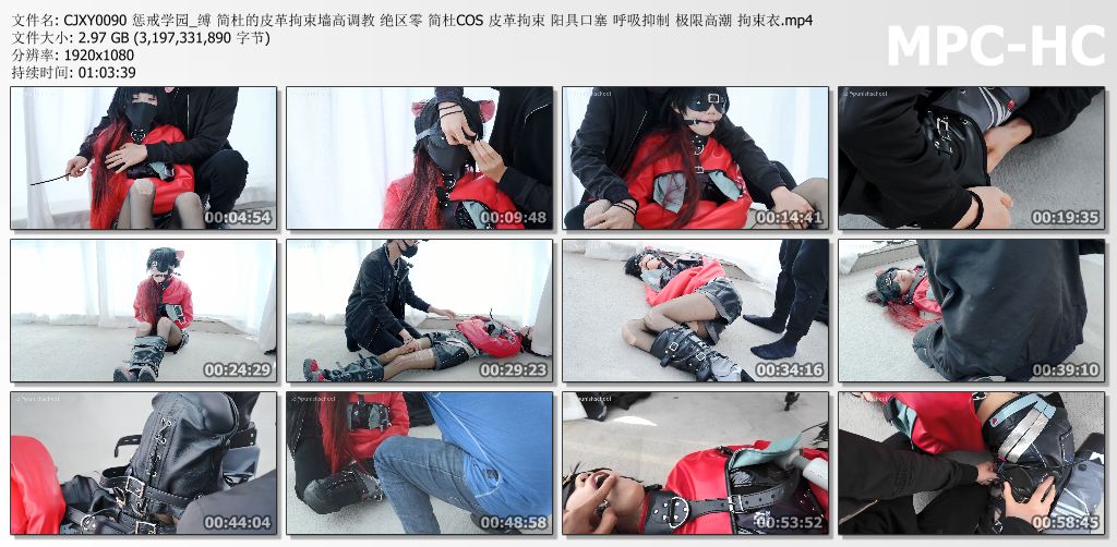惩戒学园_简杜的皮革拘束强G调教.jpg