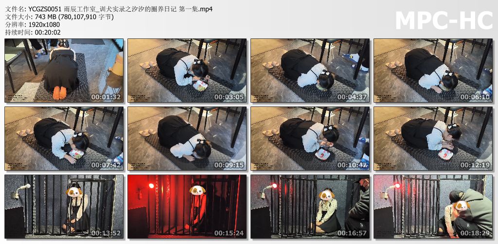 雨辰工作室_训犬实录之汐汐的圈养日记 第一部.jpg