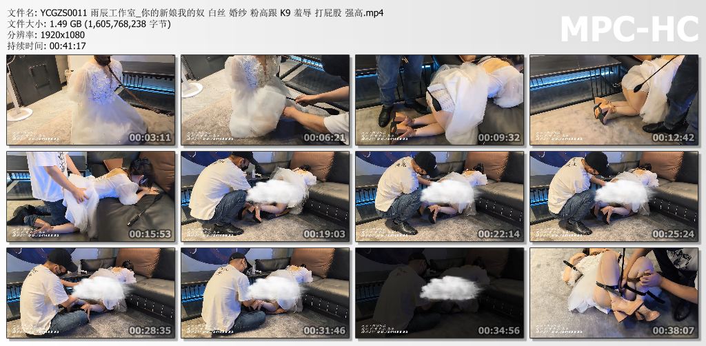 雨辰工作室_你的新娘我的奴.jpg