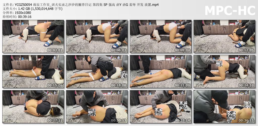 雨辰工作室_训犬实录之汐汐的圈养日记 第四部.jpg