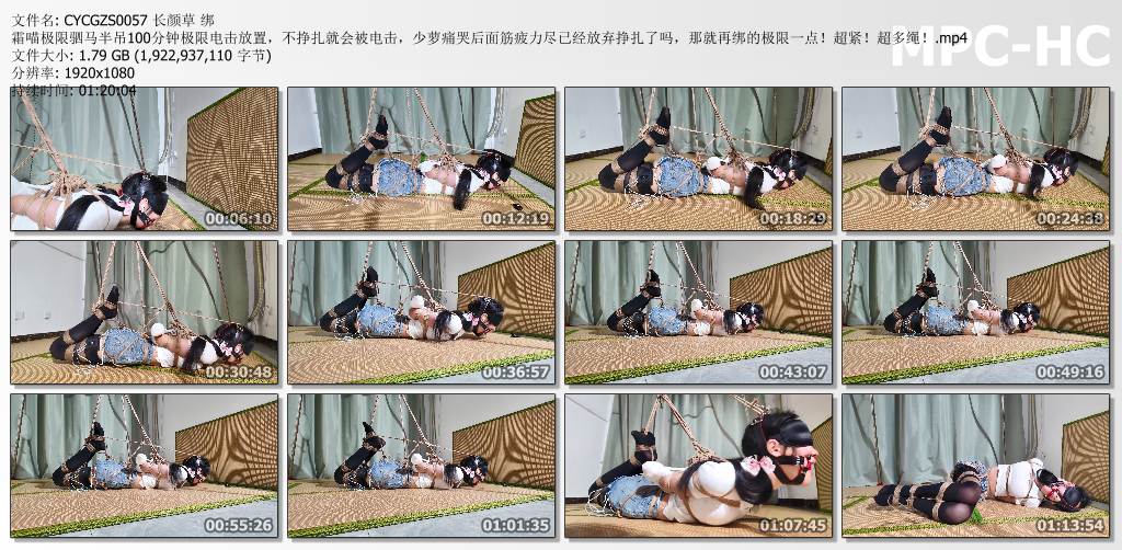 长颜草工作室_霜喵极限驷马半吊100分钟极限电击放置.jpg
