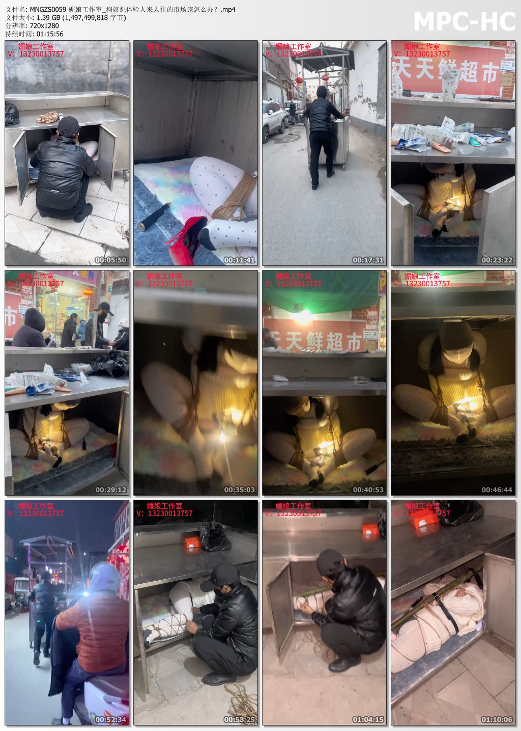 媚娘工作室_狗奴想体验人来人往的市场该怎么办.jpg