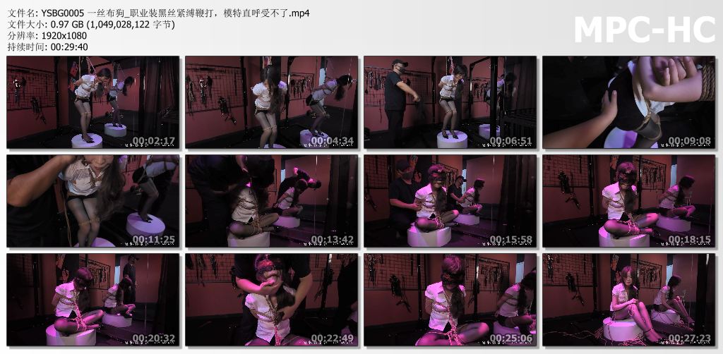 一丝布狗_职业装黑丝紧缚鞭打 模特直呼受不了.jpg