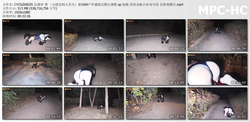 长颜草工作室_公园里的人形犬 霜喵k9户外遛狗式爬行调教.jpg