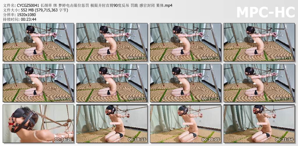 长颜草工作室_梦婷电击限位惩罚.jpg