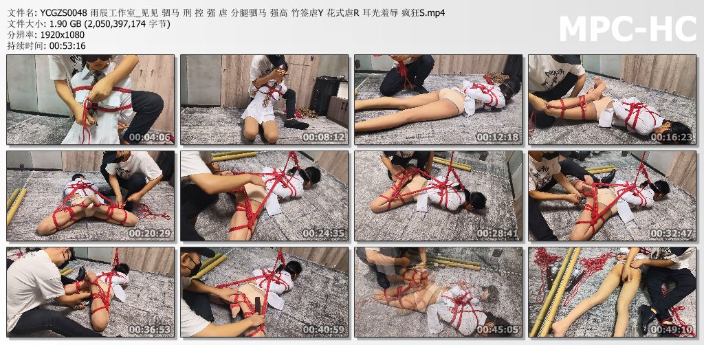 雨辰工作室_见见驷马刑控强虐.jpg