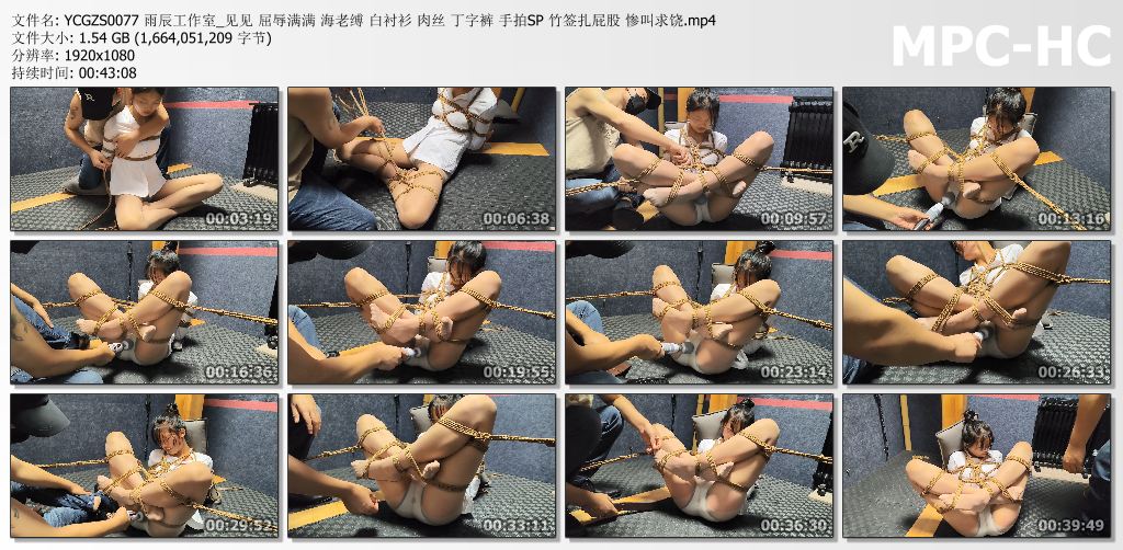 雨辰工作室_见见屈辱满满海老缚 惨叫求饶.jpg