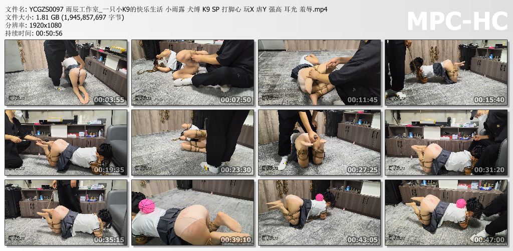 雨辰工作室_小雨露 一只小K9的快乐生活.jpg