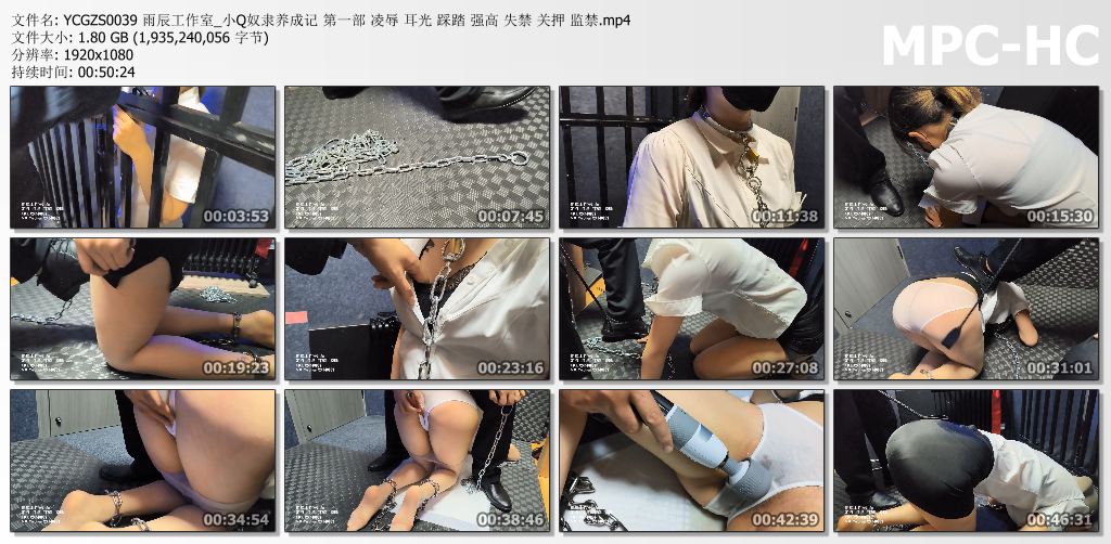 雨辰工作室_小Q奴隶养成记 第一部.jpg
