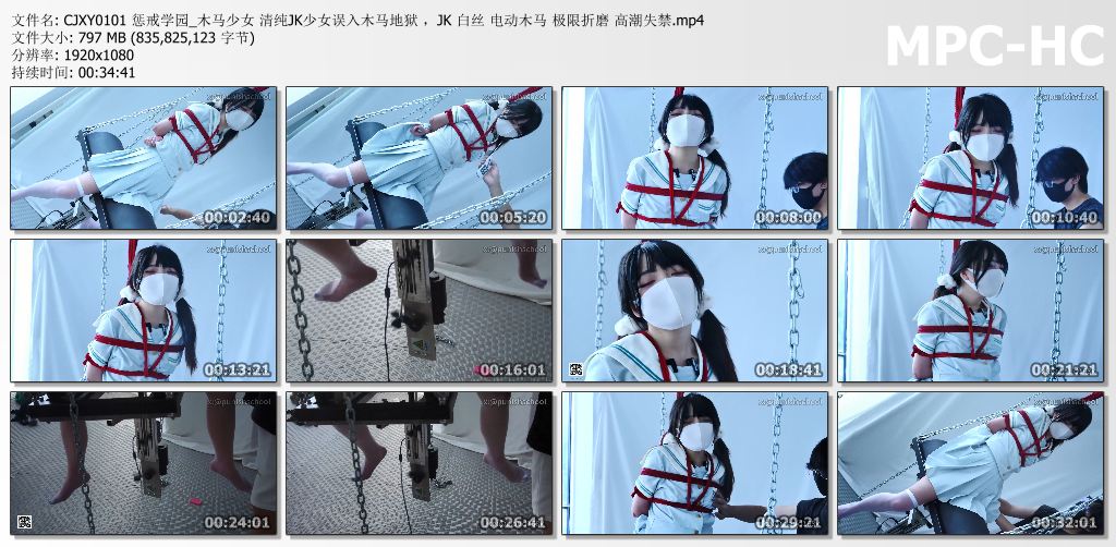 惩戒学园_清纯JK少女误入木马地狱.jpg
