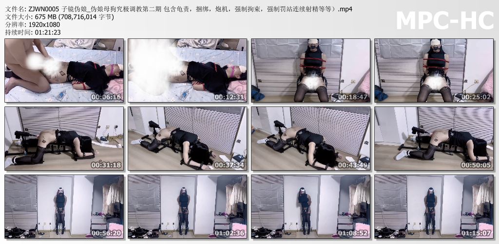 伪娘子镜_伪娘母狗究极调教 第二部.jpg