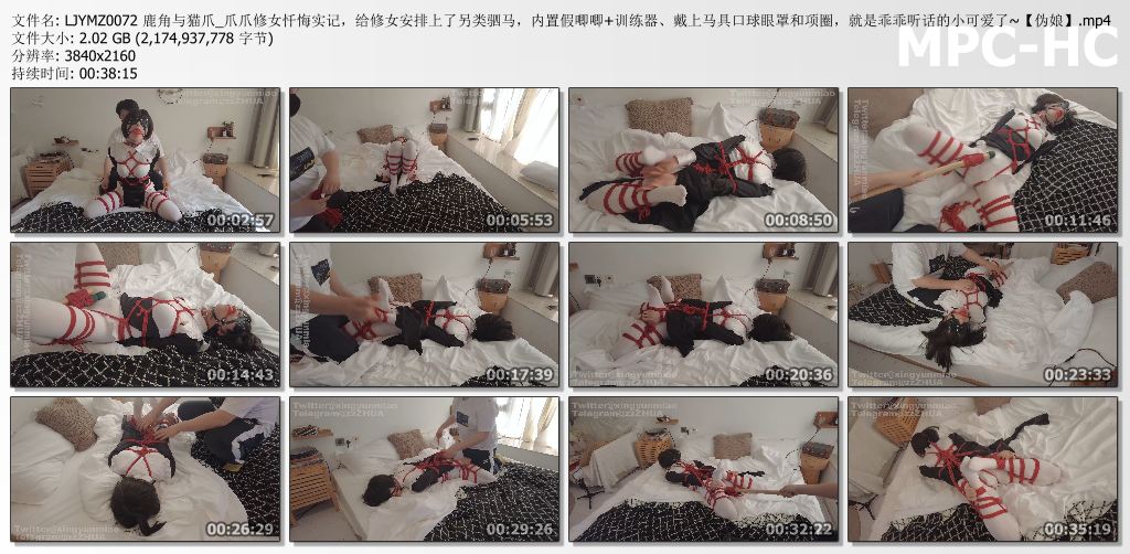 鹿角与猫爪_爪爪修女忏悔实记.jpg